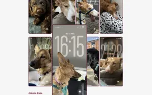 Screenshot 2025-11-14 at 22